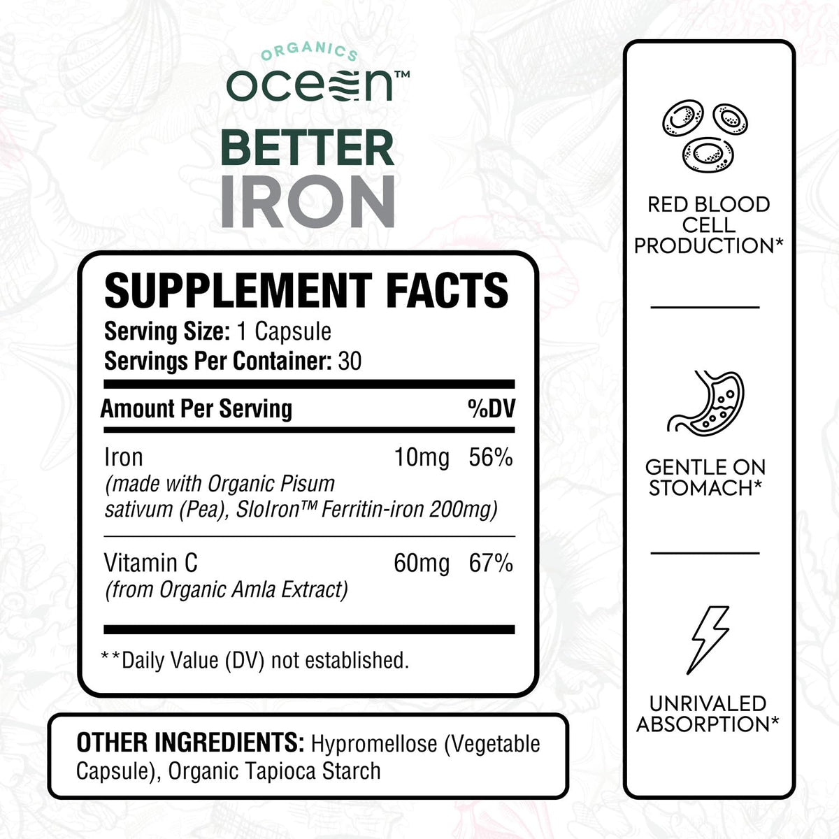 Plant-Based Iron Supplement, 30 Capsules G228