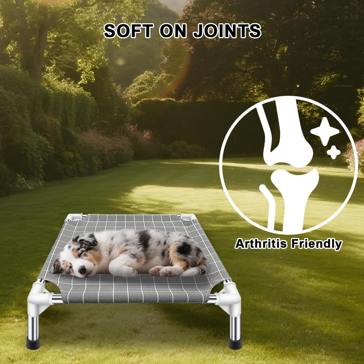 Raised Pet Bed U1561