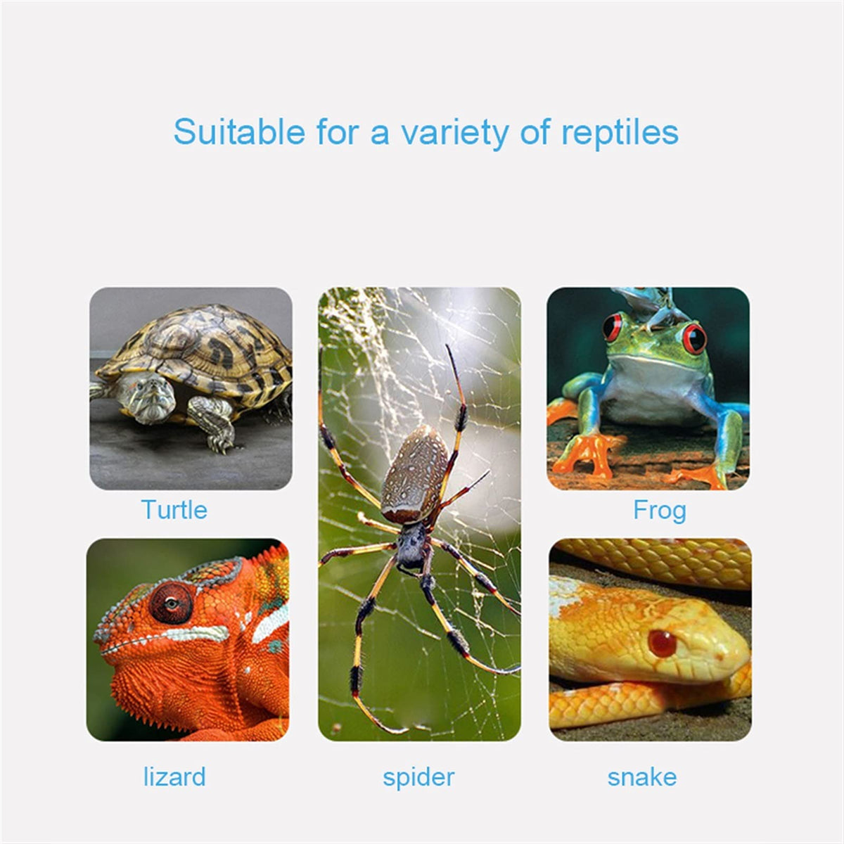 E27 Reptile Heat Lamp Clip-on Bulb Lamp Holder T54461
