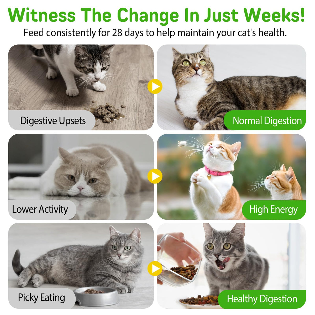 Chicken Flavor Hairball Treatment for Cats H171767