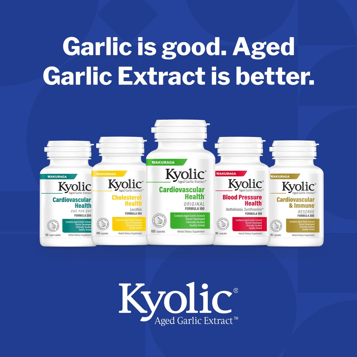 Aged Garlic Extract 300 Capsules E672037