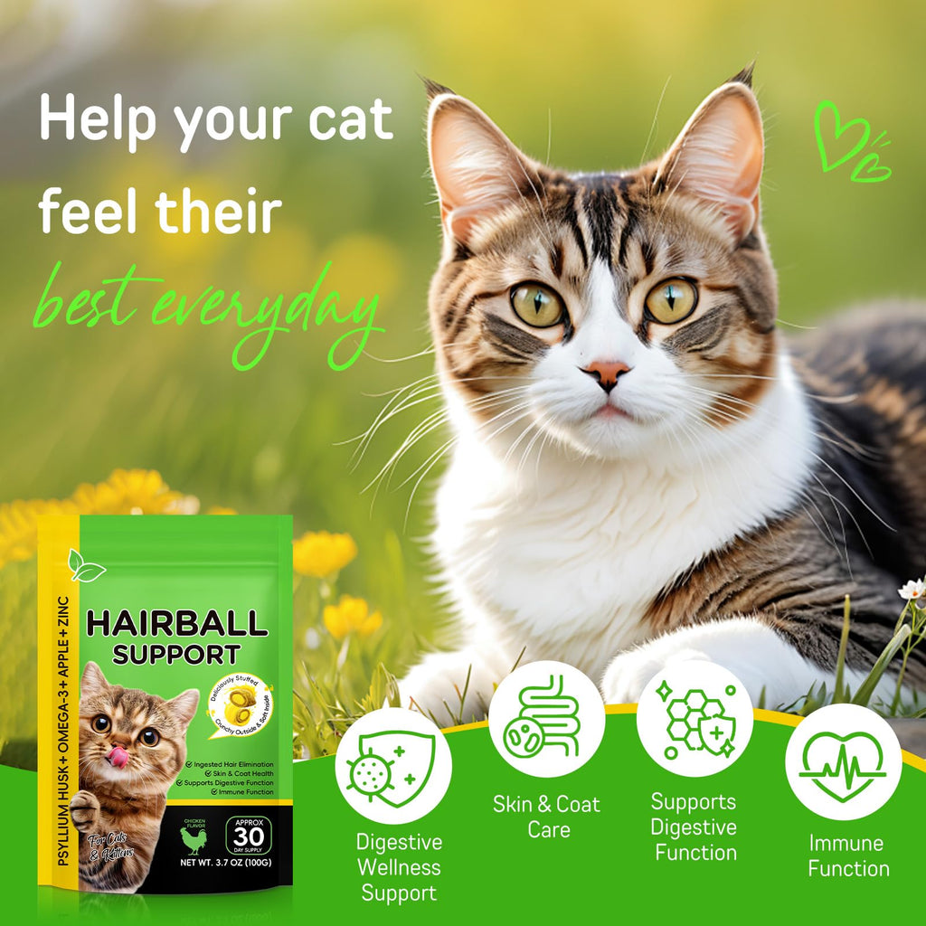 Chicken Flavor Hairball Treatment for Cats H171767