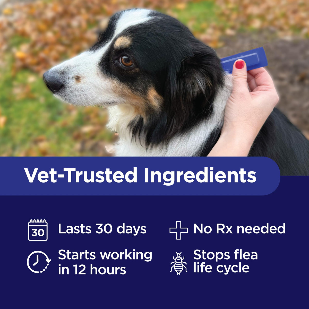 Flea and Tick Prevention for Extra Large Dogs 55+ lbs Y510