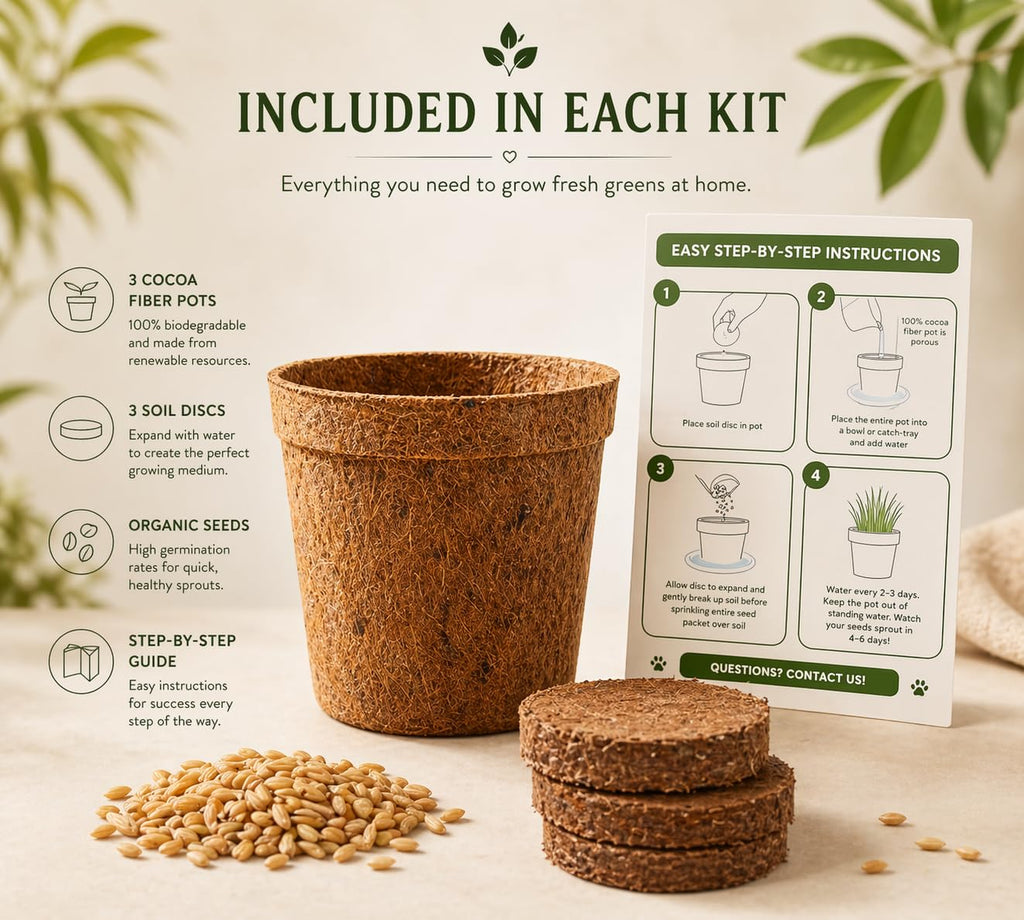 Organic Cat Grass Growing Kit 3 Pack with Soil Discs Coco Fiber Pots and Seeds U7644