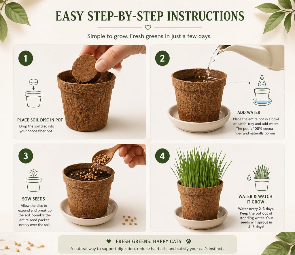 Organic Cat Grass Growing Kit 3 Pack with Soil Discs Coco Fiber Pots and Seeds U7644