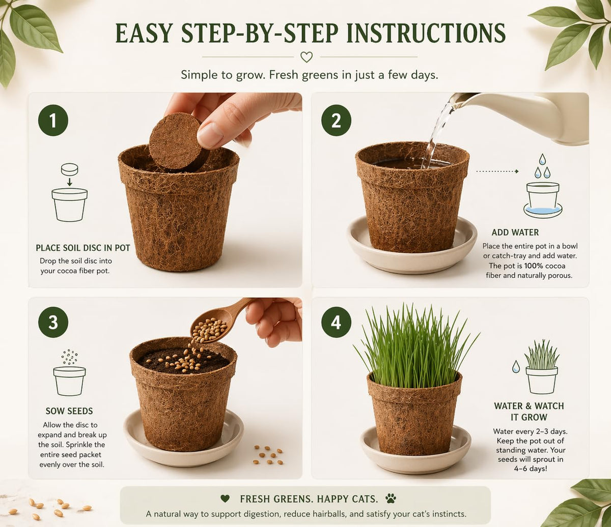Organic Cat Grass Growing Kit 3 Pack with Soil Discs Coco Fiber Pots and Seeds U7644