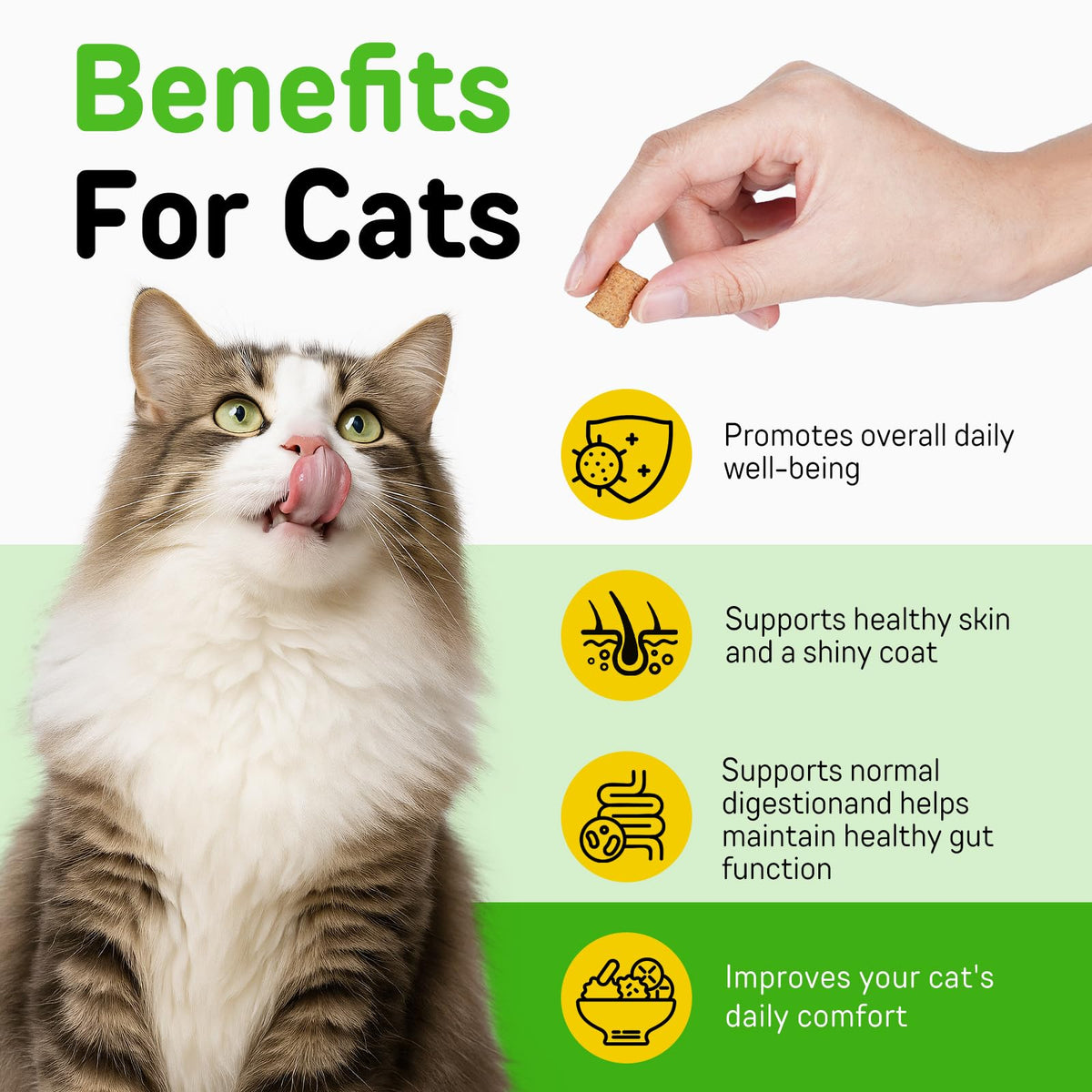 Chicken Flavor Hairball Treatment for Cats H171767