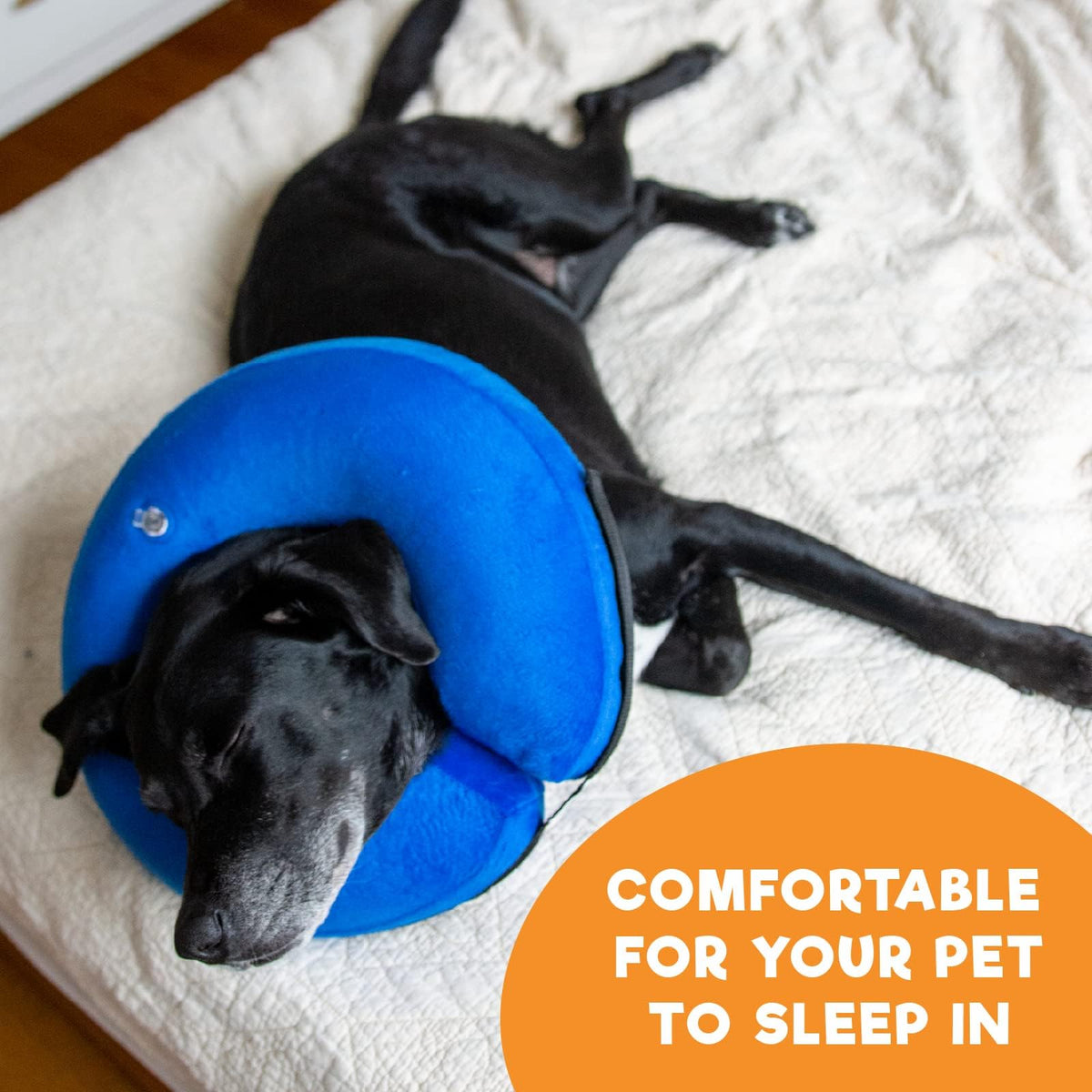 Inflatable Dog Cone Collar Alternative Large Blue T129907