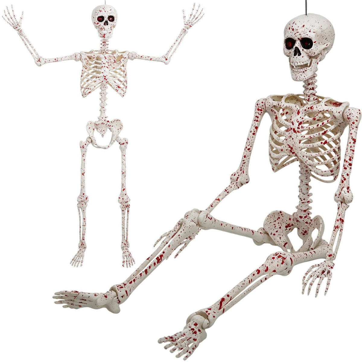 5.4FT Posable Life Size Skeleton Full Body L4614