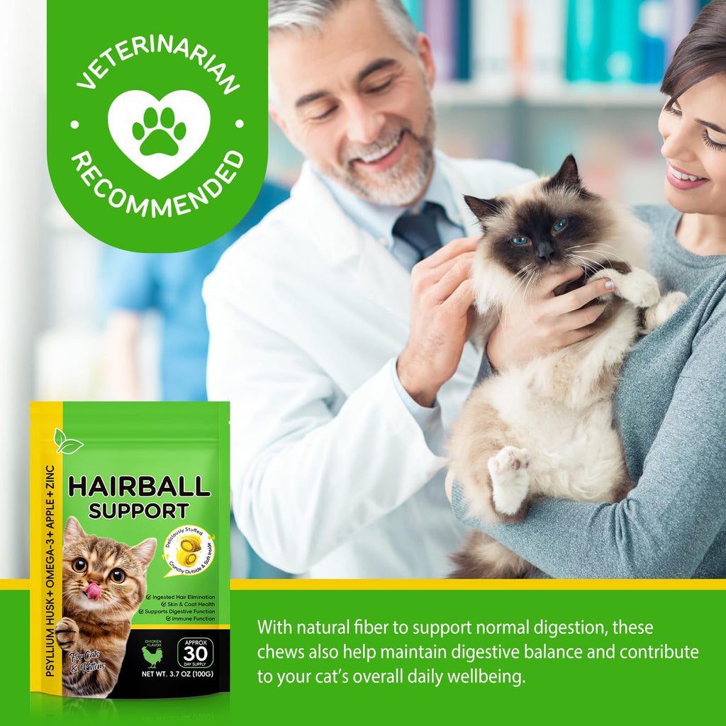 Chicken Flavor Hairball Treatment for Cats H171767