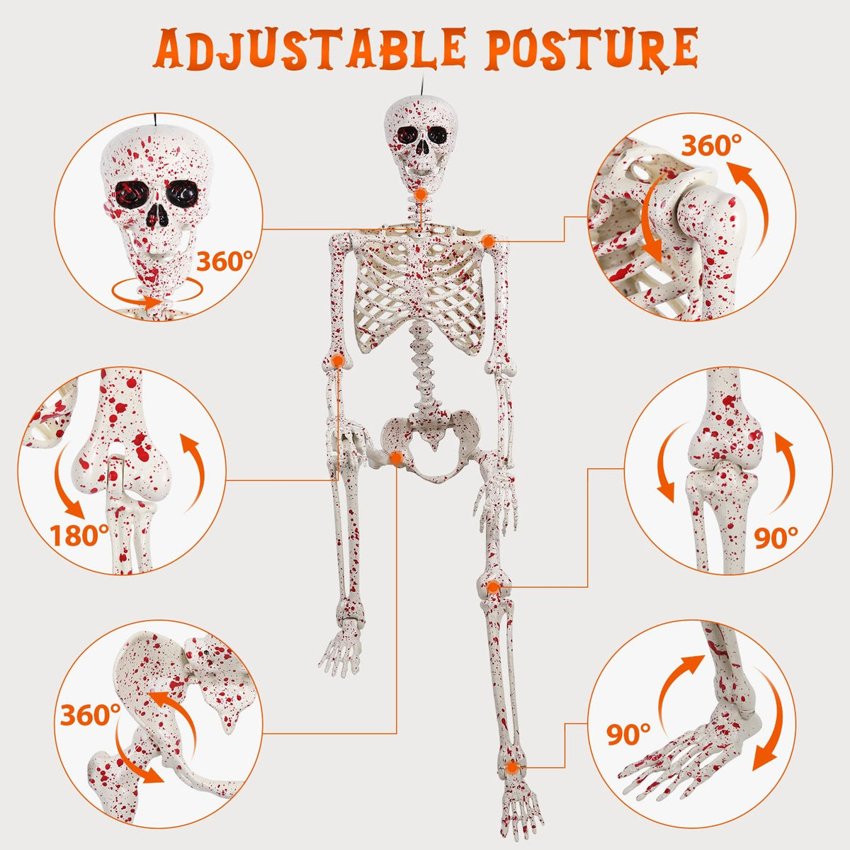 5.4FT Posable Life Size Skeleton Full Body L4614