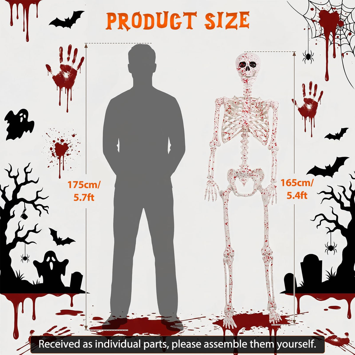 5.4FT Posable Life Size Skeleton Full Body L4614