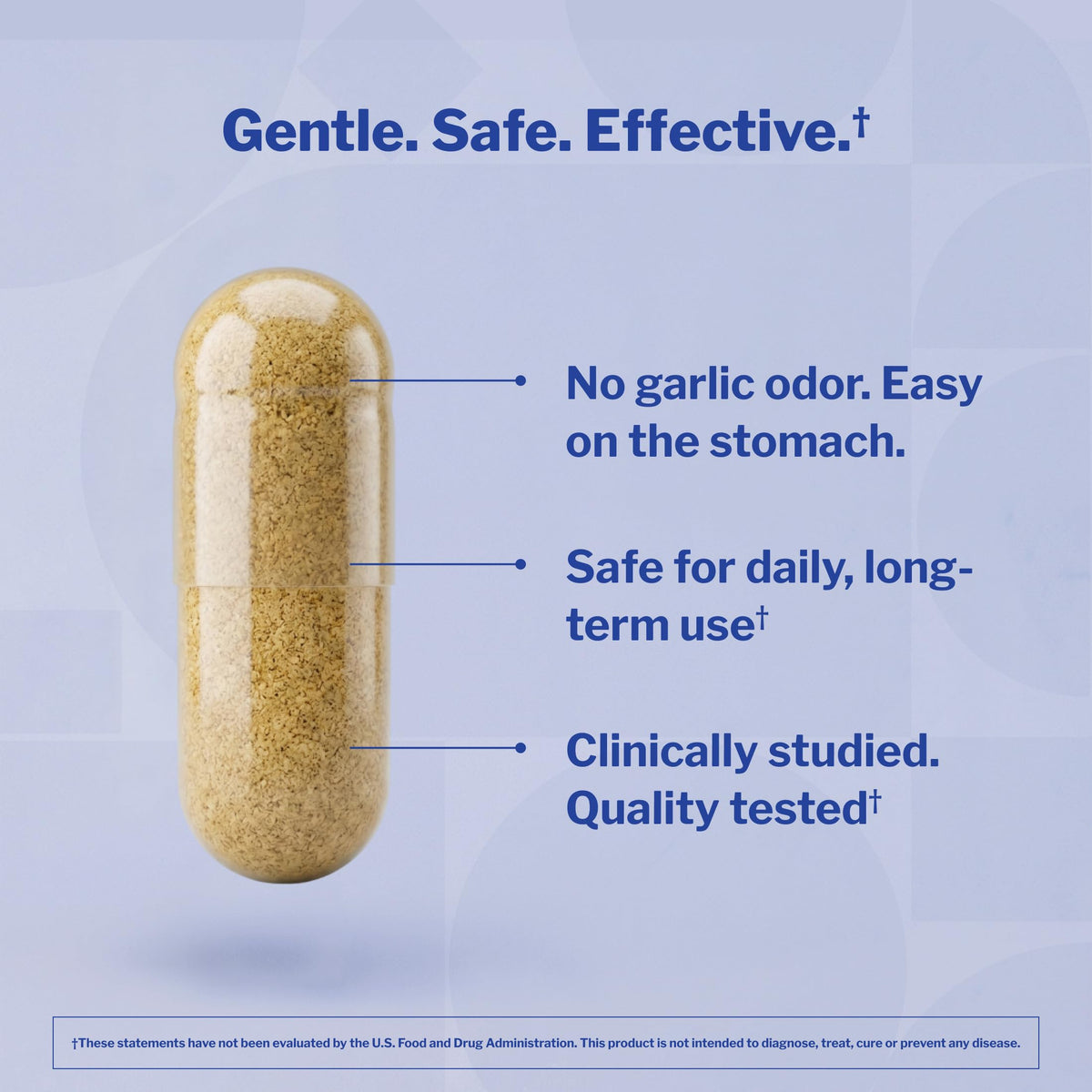Aged Garlic Extract 300 Capsules Z8355