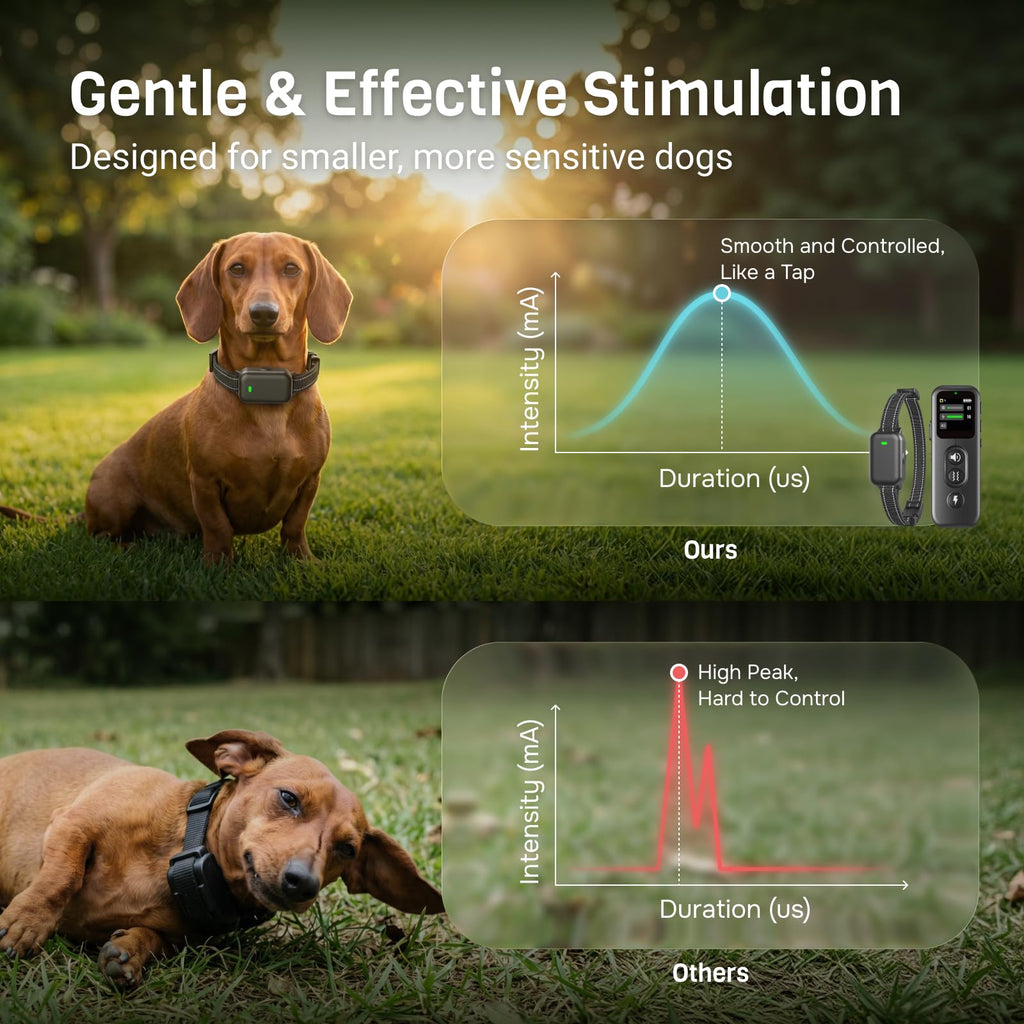 Ultra-Small IPX8 Dog Training Collar with Beep & Vibration & Shock O5812
