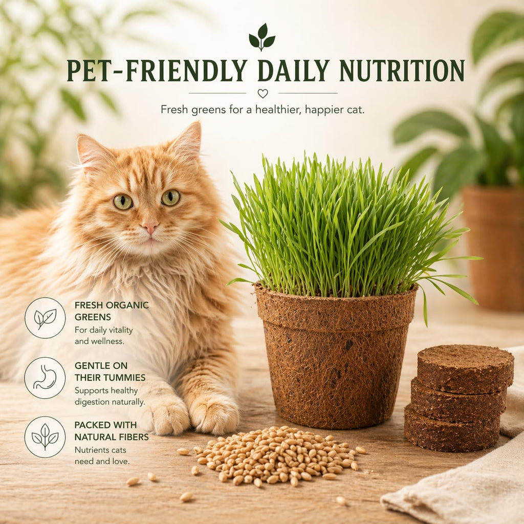 Organic Cat Grass Growing Kit 3 Pack with Soil Discs Coco Fiber Pots and Seeds U7644