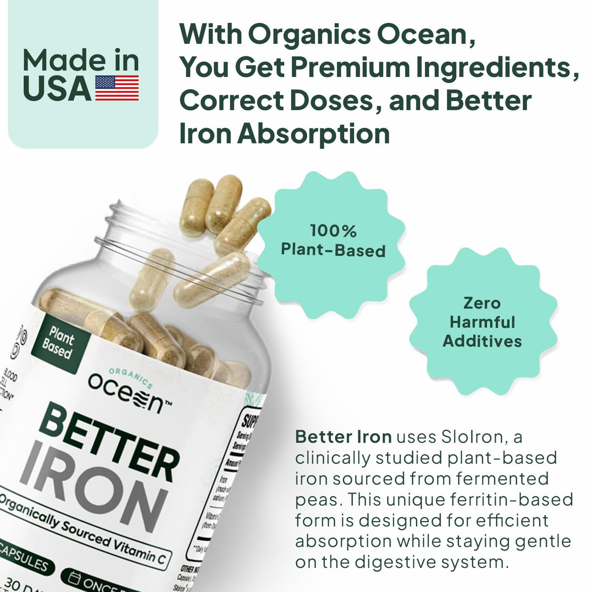 Plant-Based Iron Supplement, 30 Capsules G228
