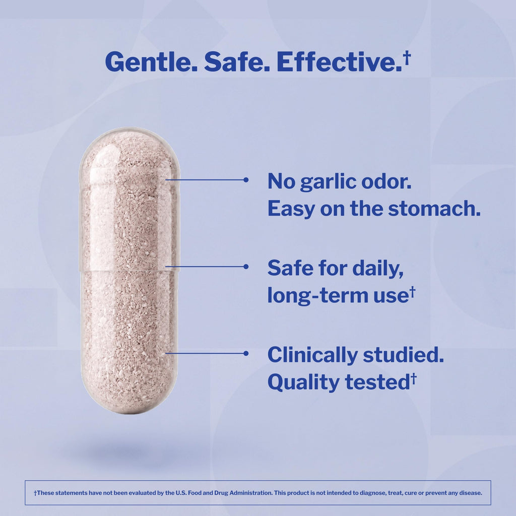 Aged Garlic Extract 300 Capsules E672037