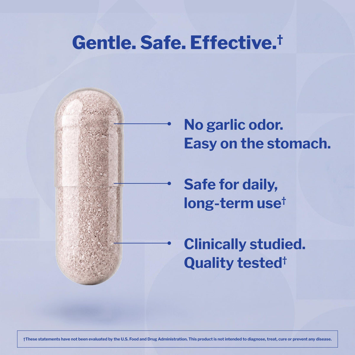 Aged Garlic Extract 300 Capsules E672037