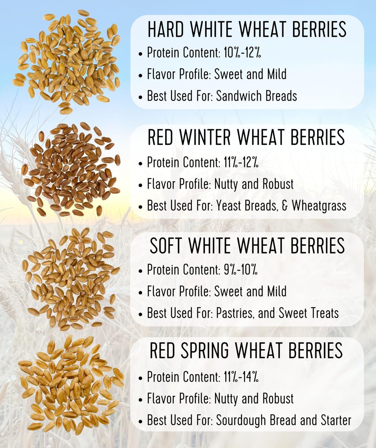 Soft White Wheat Berries 25 LBS H9354
