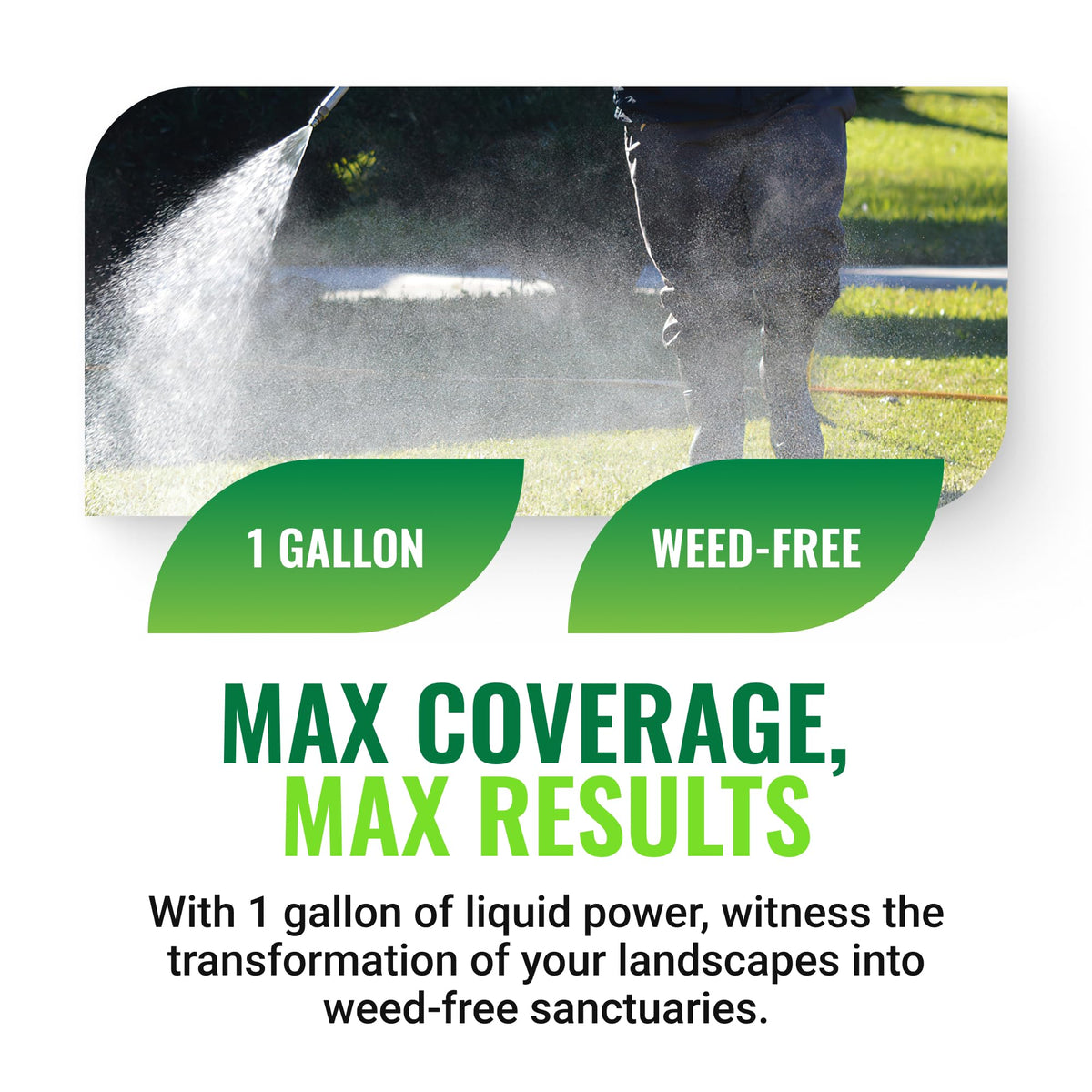 Weed Killer 1 Gallon N486