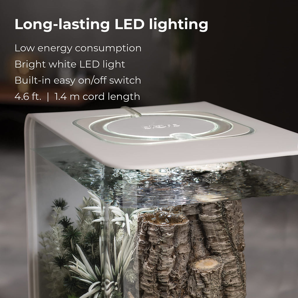 15 Acrylic Aquarium with White LED Lights H86774