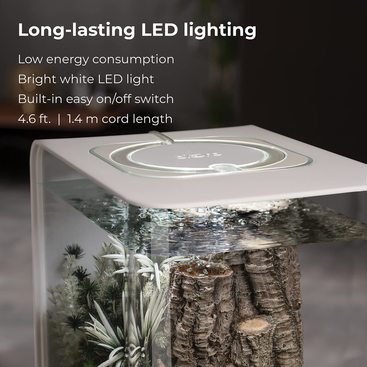 15 Acrylic Aquarium with White LED Lights H86774