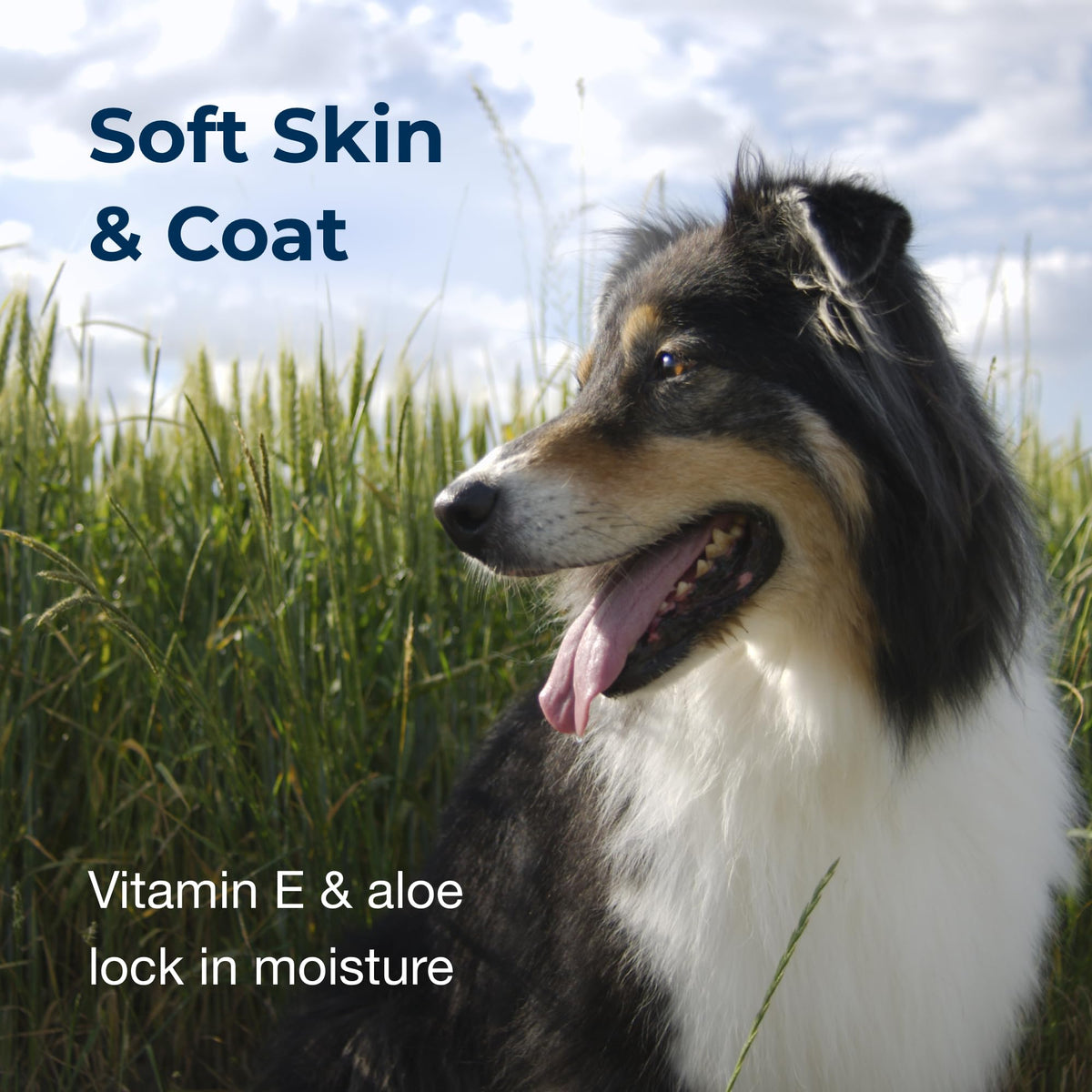 Linen Scented Shampoo 1 Gallon with Vitamin E & Aloe Vera I60812