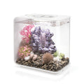 15 Acrylic Aquarium with White LED Lights H86774